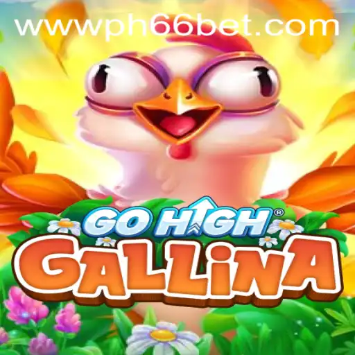 Exploring the Intriguing World of GoHighGallina: Strategies, Rules, and Introduction